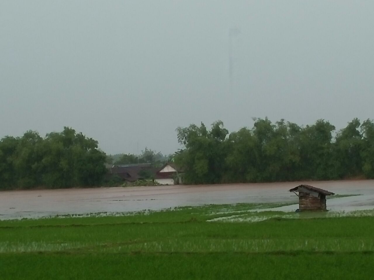 Kades Kunci: Banjir Kali Ini Terbesar dari Tahun 2007